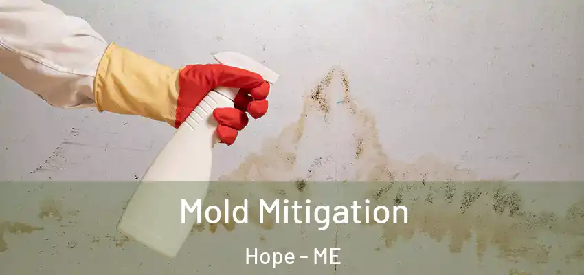 Mold Mitigation Hope - ME