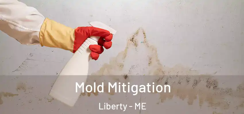 Mold Mitigation Liberty - ME