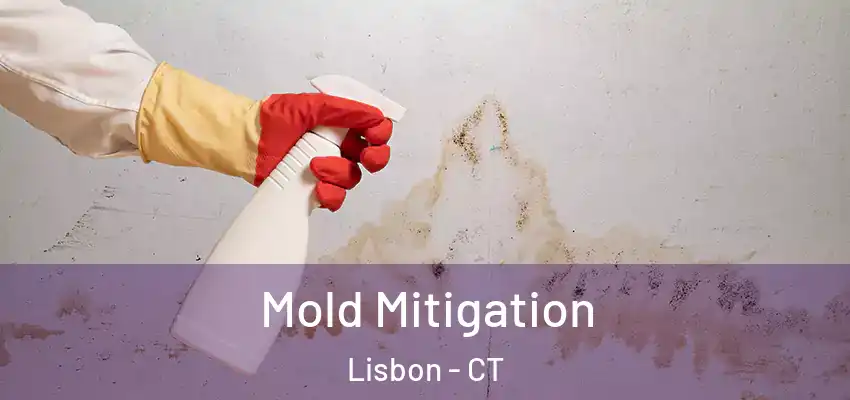 Mold Mitigation Lisbon - CT