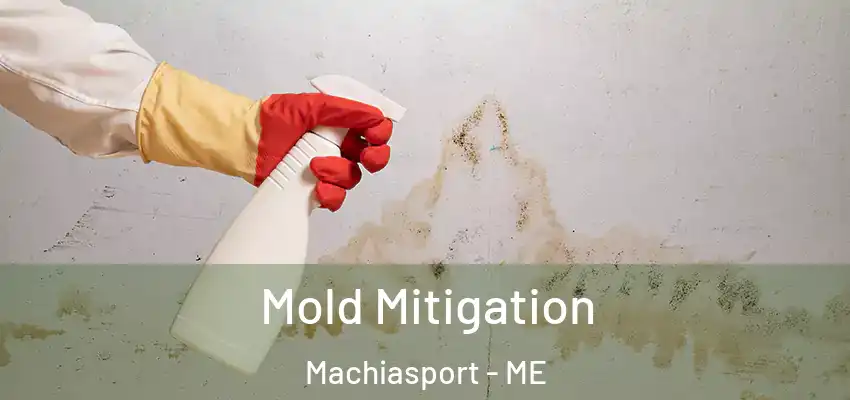Mold Mitigation Machiasport - ME