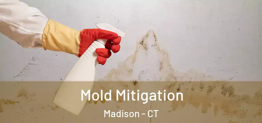 Mold Mitigation Madison - CT