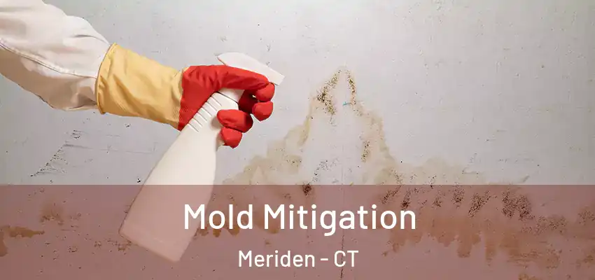 Mold Mitigation Meriden - CT