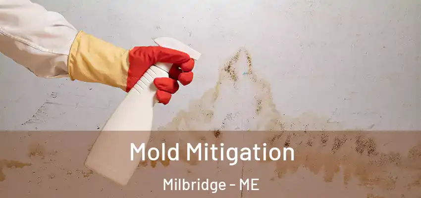 Mold Mitigation Milbridge - ME