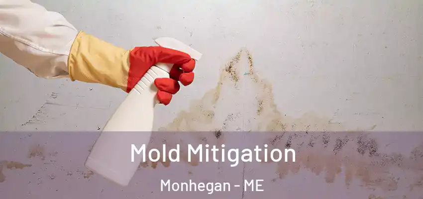 Mold Mitigation Monhegan - ME