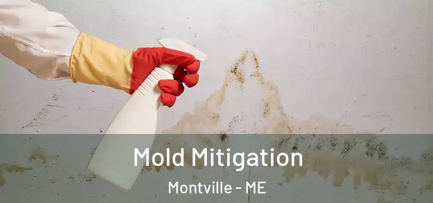 Mold Mitigation Montville - ME