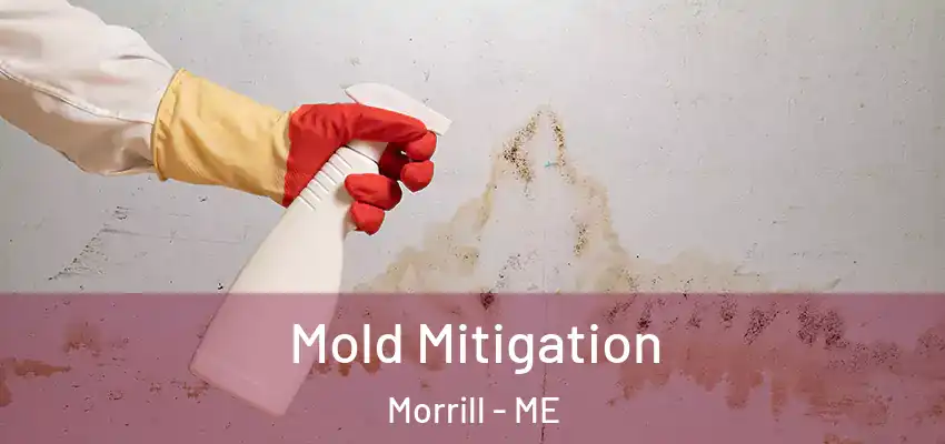 Mold Mitigation Morrill - ME