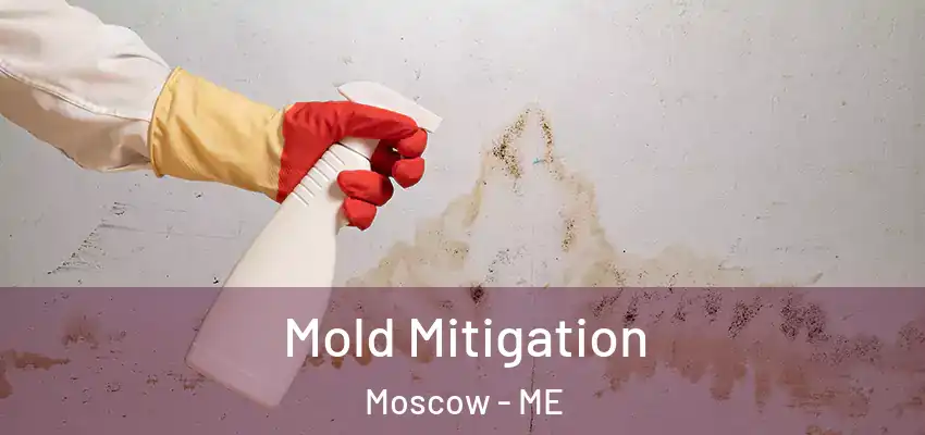 Mold Mitigation Moscow - ME