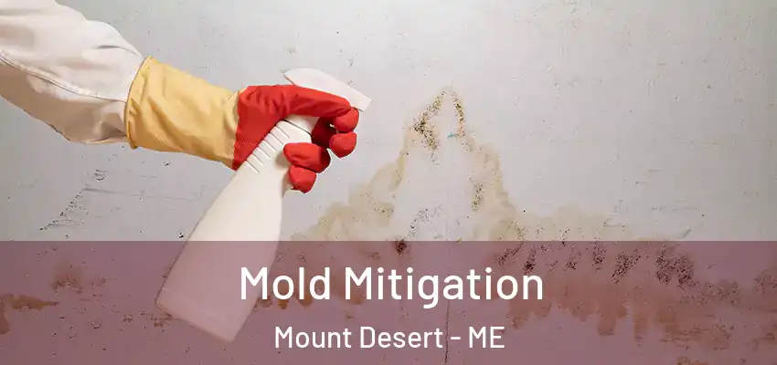 Mold Mitigation Mount Desert - ME
