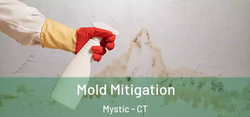 Mold Mitigation Mystic - CT
