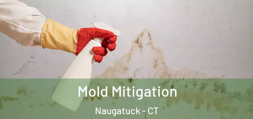 Mold Mitigation Naugatuck - CT