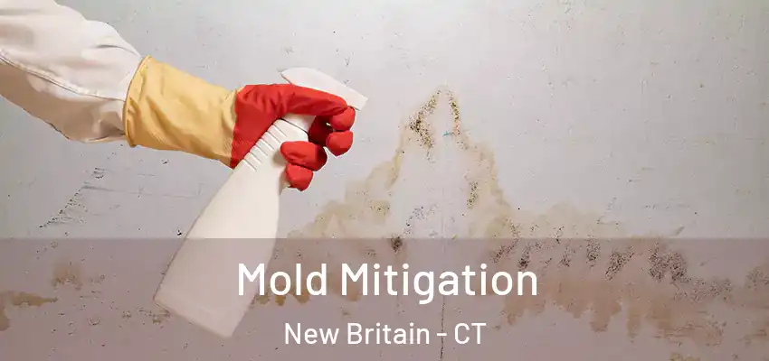 Mold Mitigation New Britain - CT