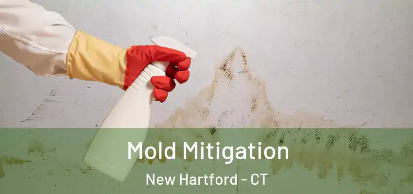 Mold Mitigation New Hartford - CT