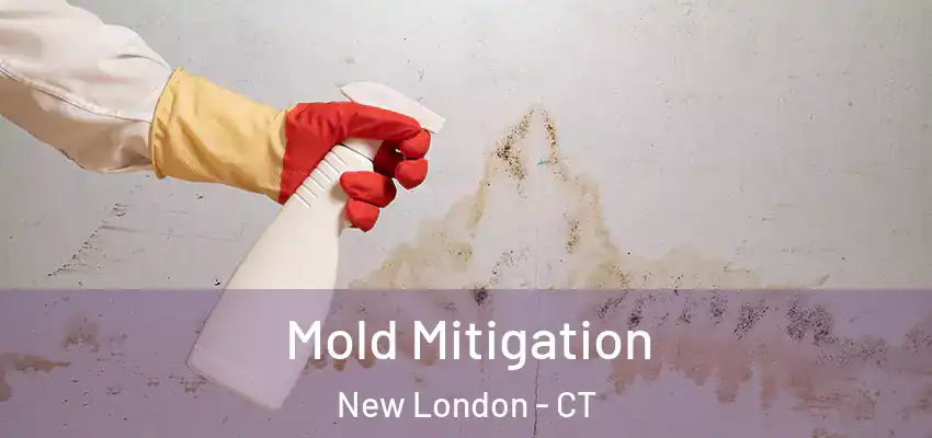 Mold Mitigation New London - CT