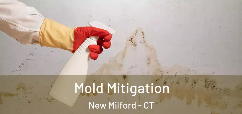 Mold Mitigation New Milford - CT