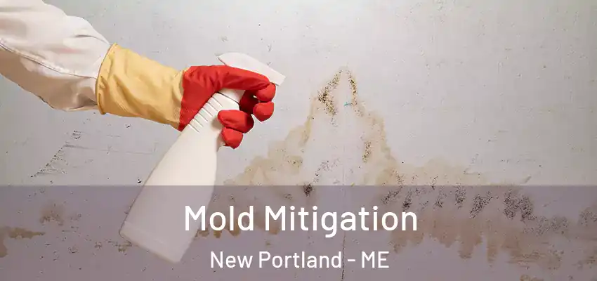  Mold Mitigation New Portland - ME