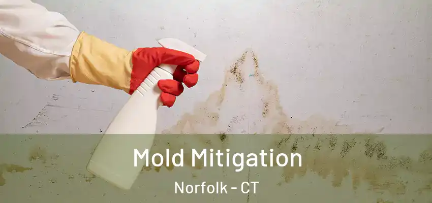 Mold Mitigation Norfolk - CT