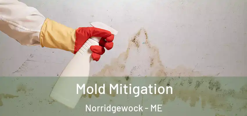 Mold Mitigation Norridgewock - ME