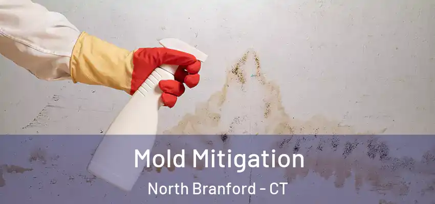Mold Mitigation North Branford - CT