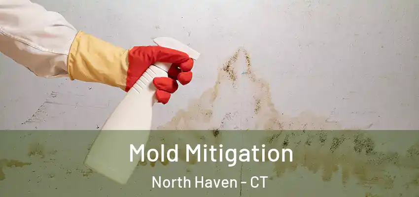 Mold Mitigation North Haven - CT