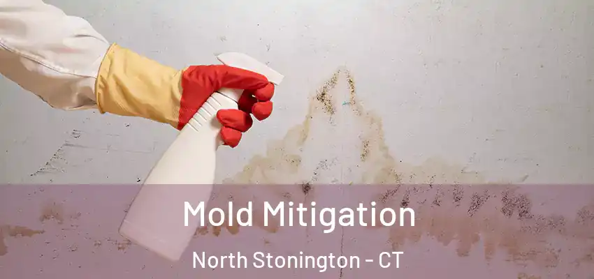 Mold Mitigation North Stonington - CT