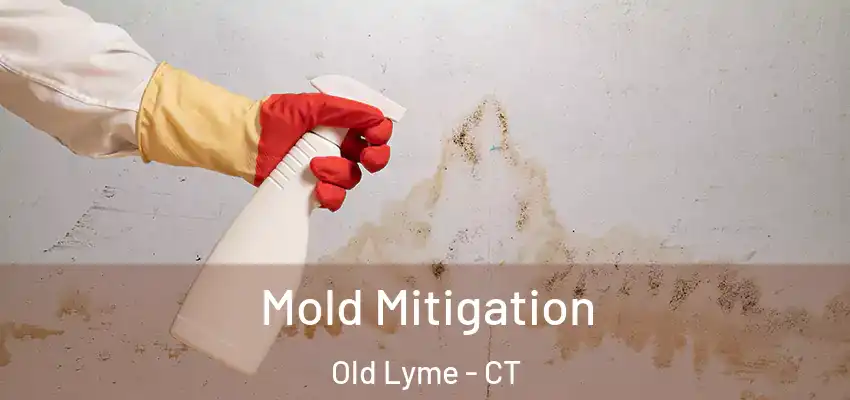Mold Mitigation Old Lyme - CT