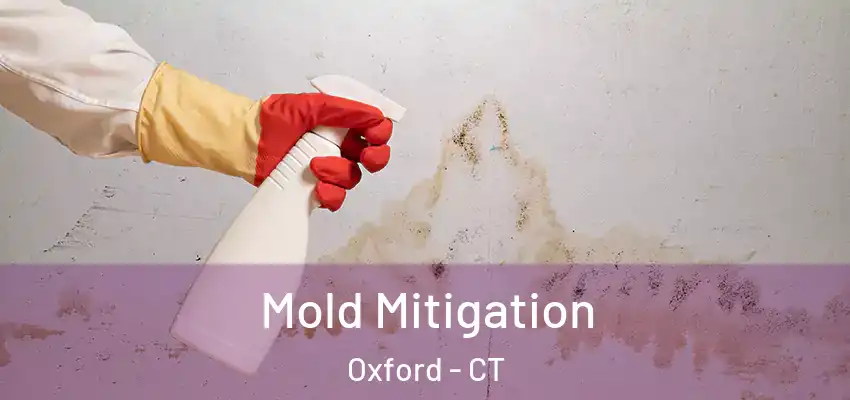 Mold Mitigation Oxford - CT