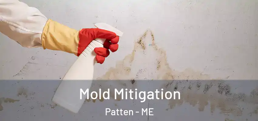 Mold Mitigation Patten - ME
