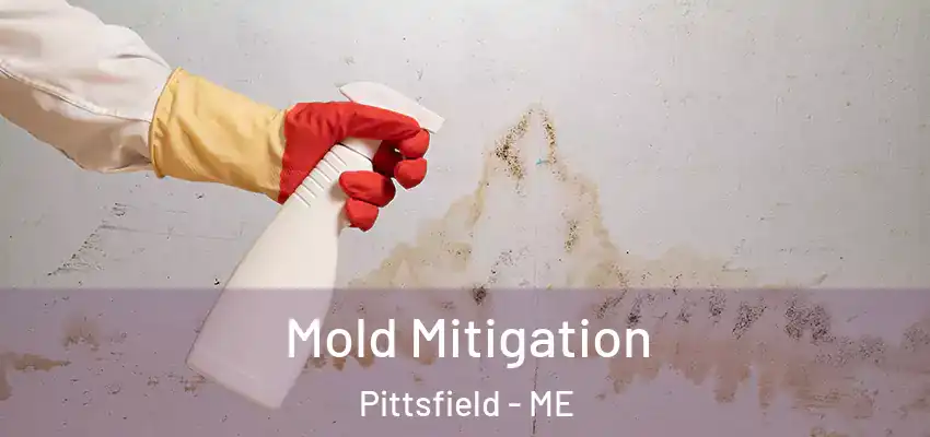 Mold Mitigation Pittsfield - ME