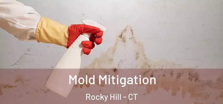Mold Mitigation Rocky Hill - CT