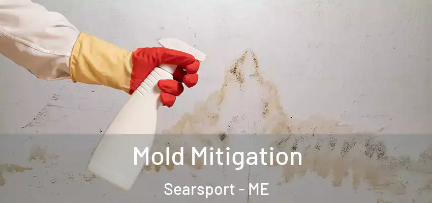 Mold Mitigation Searsport - ME