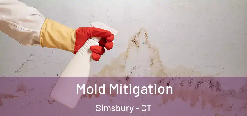Mold Mitigation Simsbury - CT
