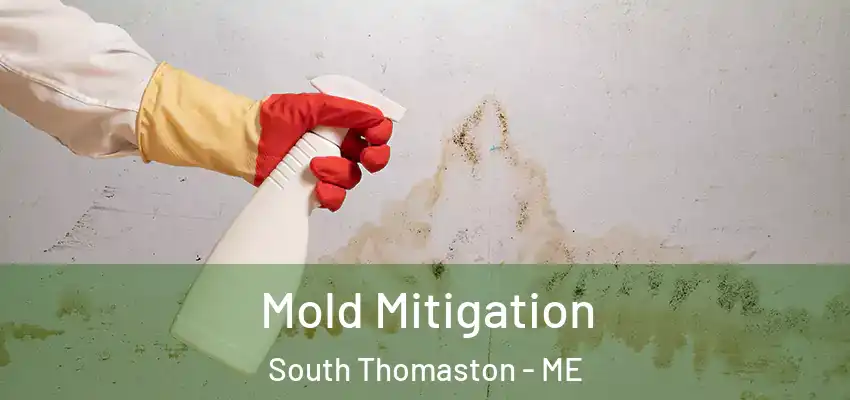Mold Mitigation South Thomaston - ME
