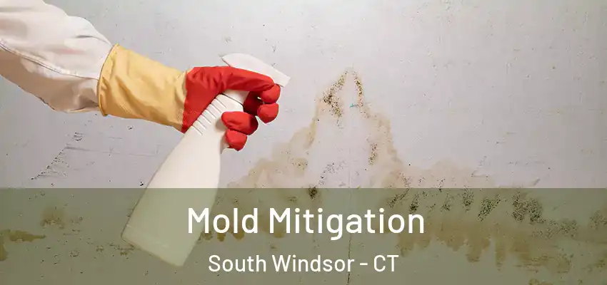 Mold Mitigation South Windsor - CT
