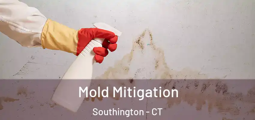 Mold Mitigation Southington - CT