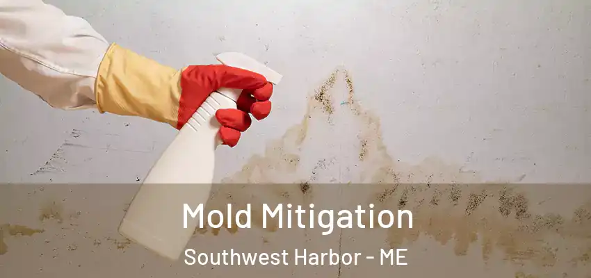 Mold Mitigation Southwest Harbor - ME