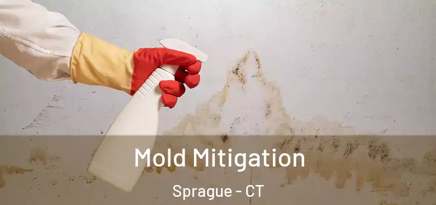 Mold Mitigation Sprague - CT