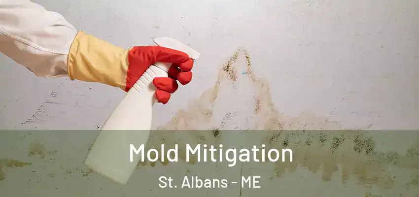 Mold Mitigation St. Albans - ME