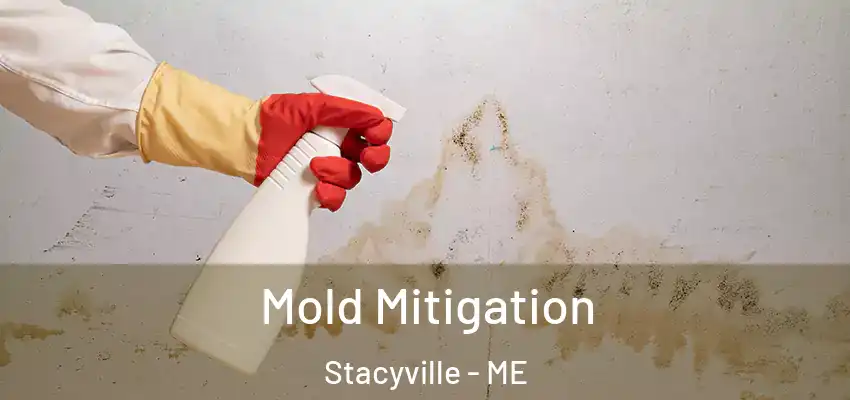 Mold Mitigation Stacyville - ME