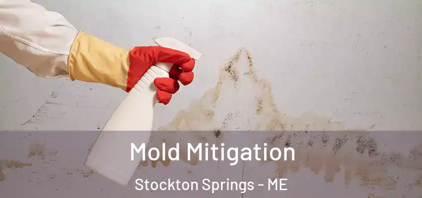  Mold Mitigation Stockton Springs - ME