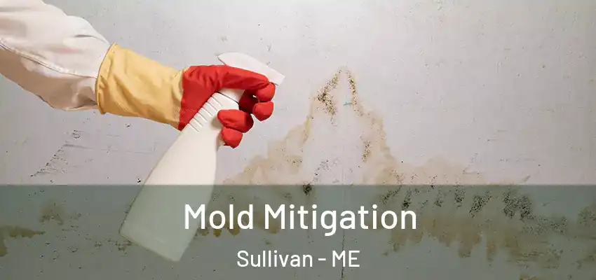 Mold Mitigation Sullivan - ME