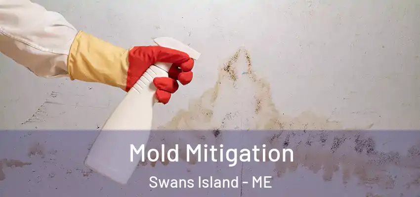 Mold Mitigation Swans Island - ME