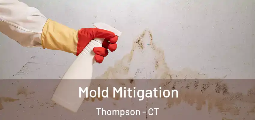 Mold Mitigation Thompson - CT
