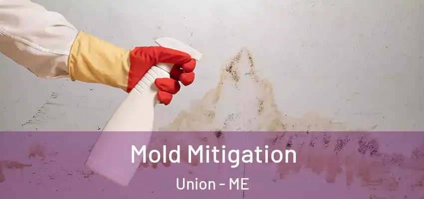 Mold Mitigation Union - ME