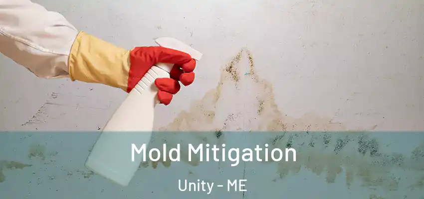Mold Mitigation Unity - ME