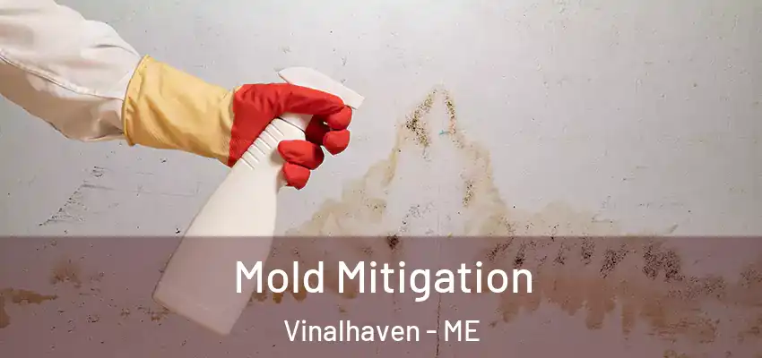 Mold Mitigation Vinalhaven - ME