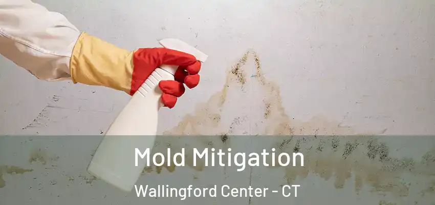 Mold Mitigation Wallingford Center - CT