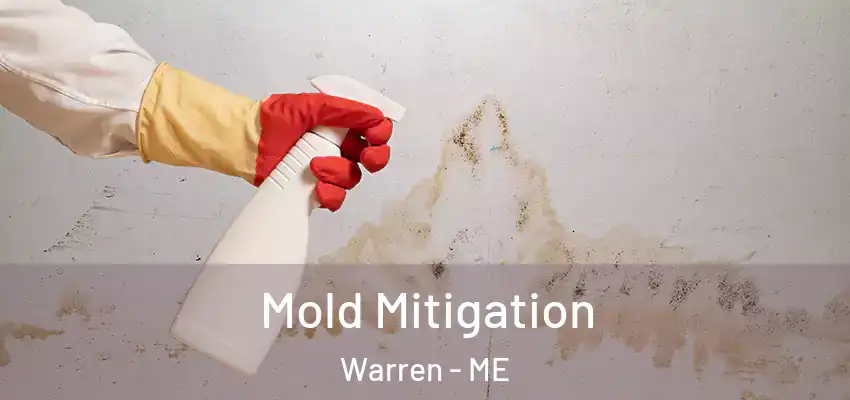 Mold Mitigation Warren - ME