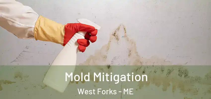 Mold Mitigation West Forks - ME