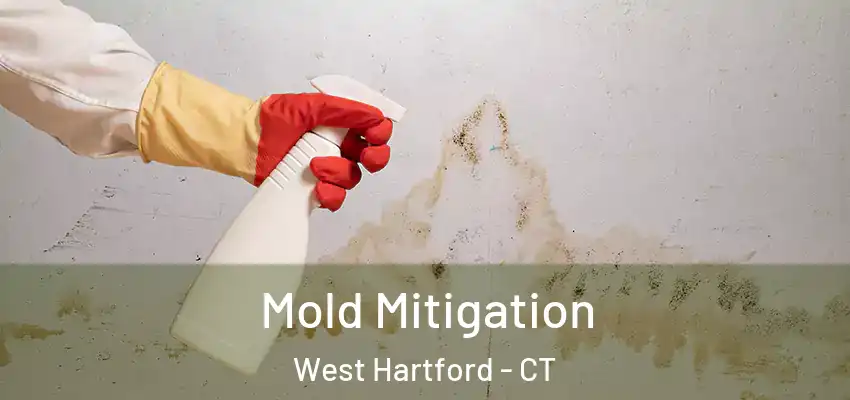  Mold Mitigation West Hartford - CT