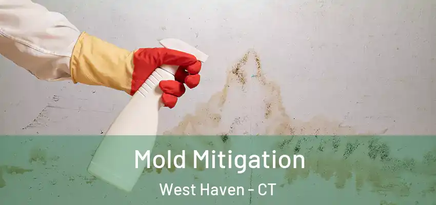 Mold Mitigation West Haven - CT